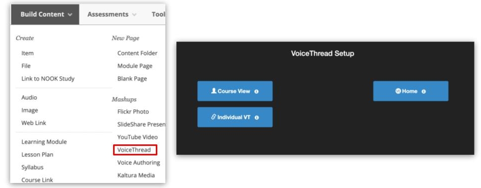 Voicethread interface in Blackboard